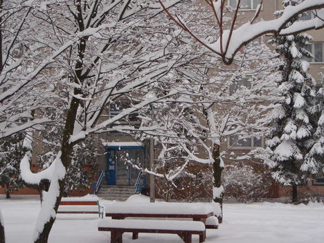 Tél 2010. 35