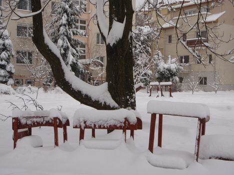 Tél 2010. 36