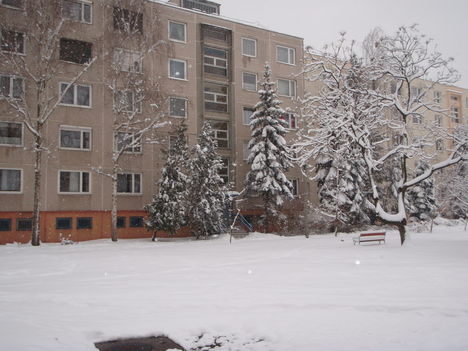 Tél 2010. 41