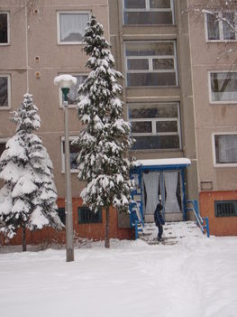 Tél 2010. 47
