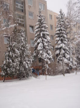 Tél 2010. 48