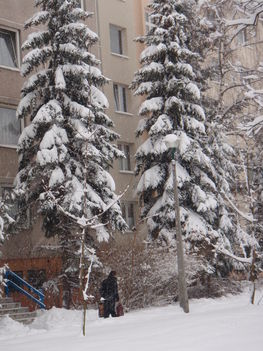 Tél 2010. 50