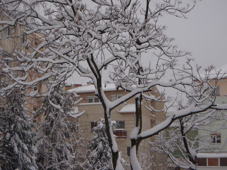 Tél 2010. 51