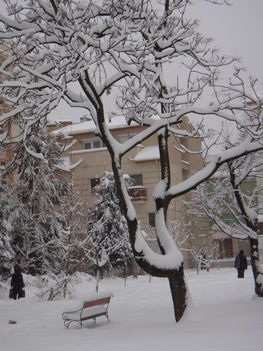 Tél 2010. 52