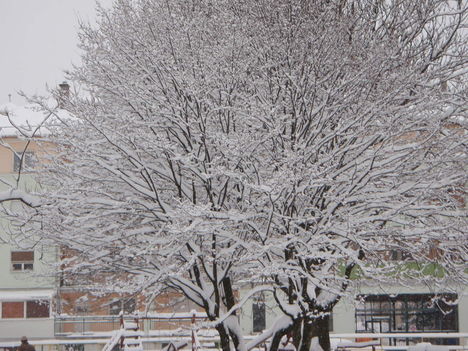 Tél 2010. 53