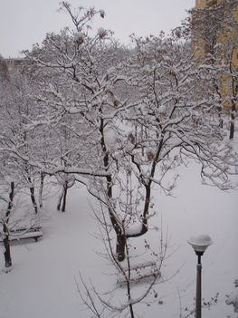 Tél 2010. 8