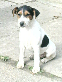 DSC00104