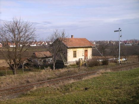 Makó bakter ház