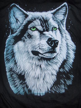 wolf
