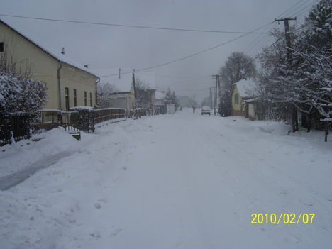 2010.tél