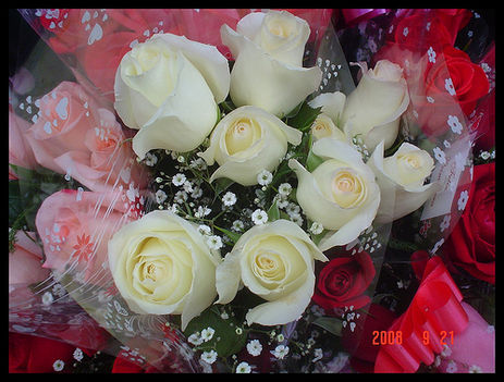 gyönyörű-fehér rózsa csokor