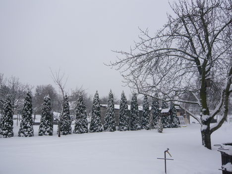 Páhi tél 2010.02.07.