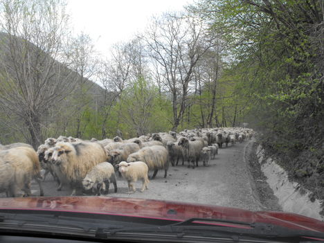 az úton 1