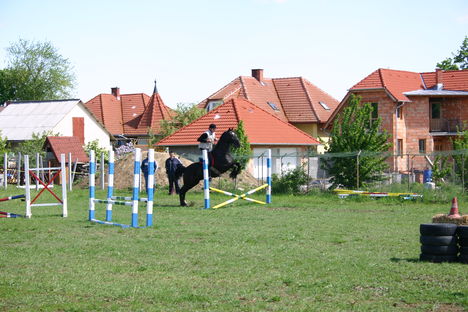 Berti és a noniusz