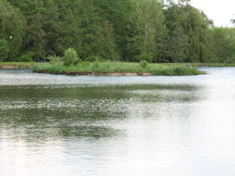 Gunaras, csónakázó tó