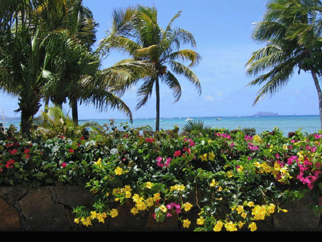 Mauricius szigete 7
