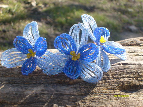 kék orhidea