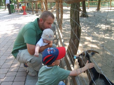 Mesepark Apci és a fiúk