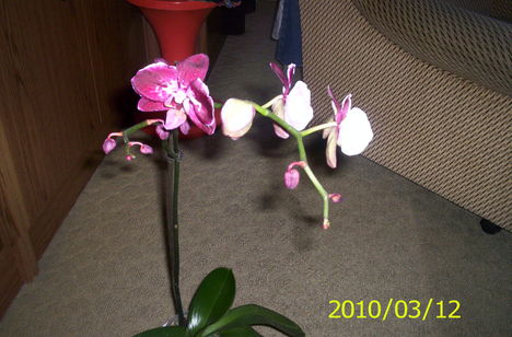 20080927 442