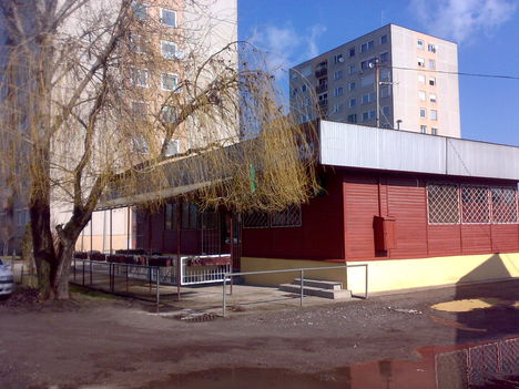 20100221606