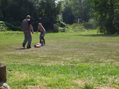 Picture 011