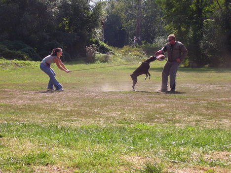 Picture 019