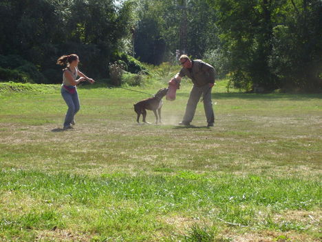 Picture 020