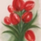 tulipanok_