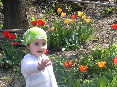 Kis unokám a tulipánok között