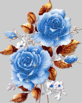 Kék rózsák_cs