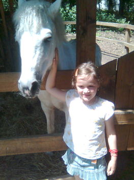a lányom imádja a lovakat