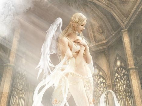 Angel 11
