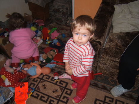 DSCF6146