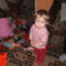 DSCF6146