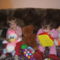 DSCF6170
