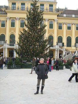 Schönbrunn kastélynál.