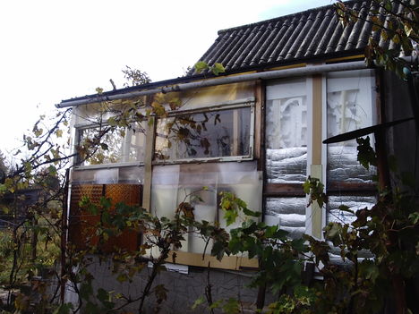 IMAG0227