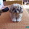 PICT0450