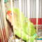 PICT0543