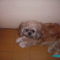 PICT0639
