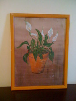 Vitorlásvirág, akvarell, vászon, 2009
