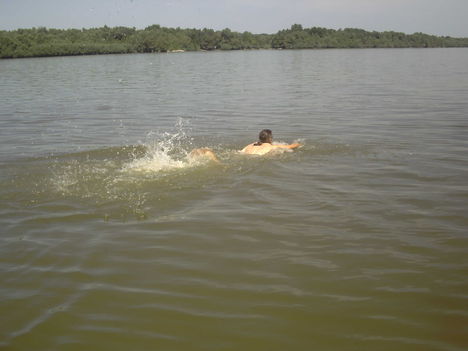 a Dunán