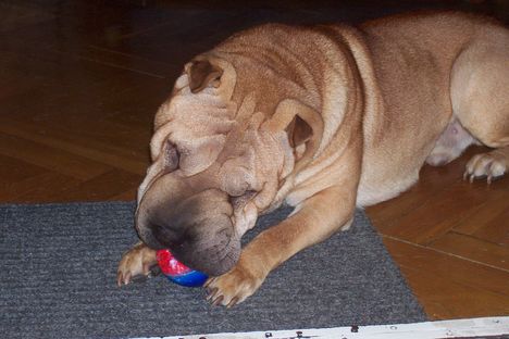 beny 1