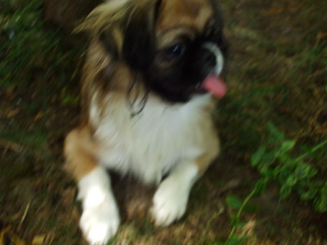 DSCF3164