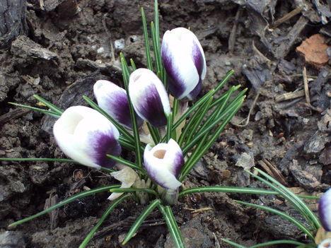 március2010 002