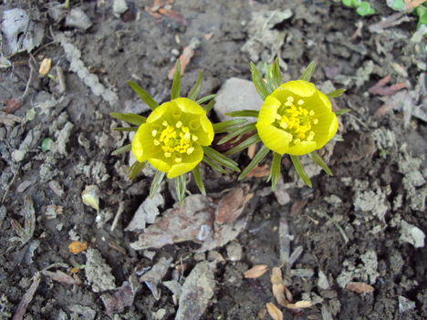 március2010 010