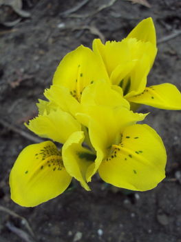 március2010 014