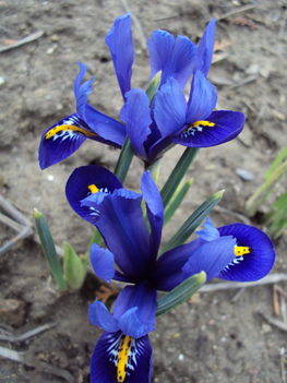 március2010 019