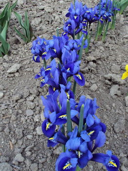március2010 023