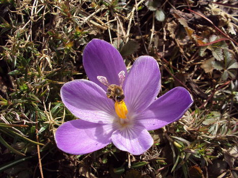 március2010 025